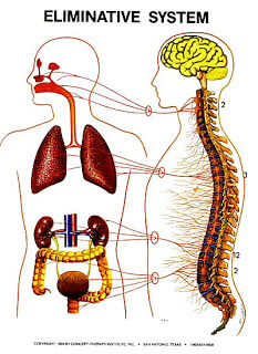The Eliminative Zone